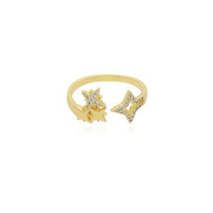 Anillo Chapa de Oro