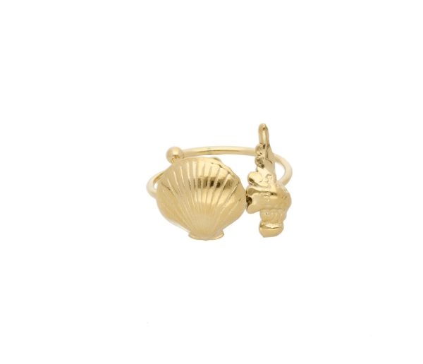 Anillo Acero Inoxidable
