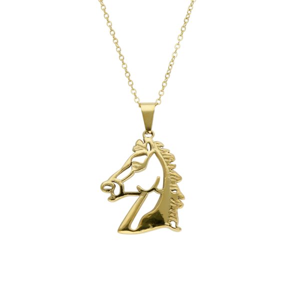 Collar Acero Inoxidable
