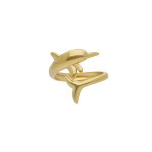 Anillo Acero Inoxidable