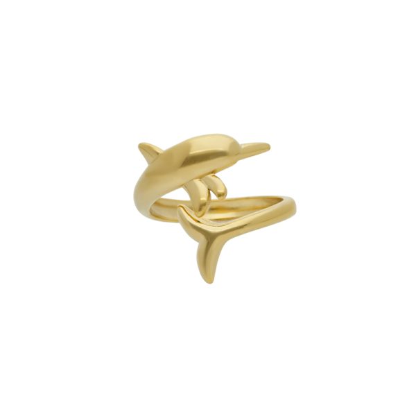 Anillo Acero Inoxidable