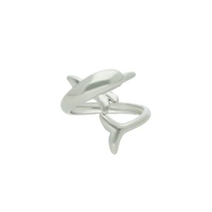 Anillo Acero Inoxidable