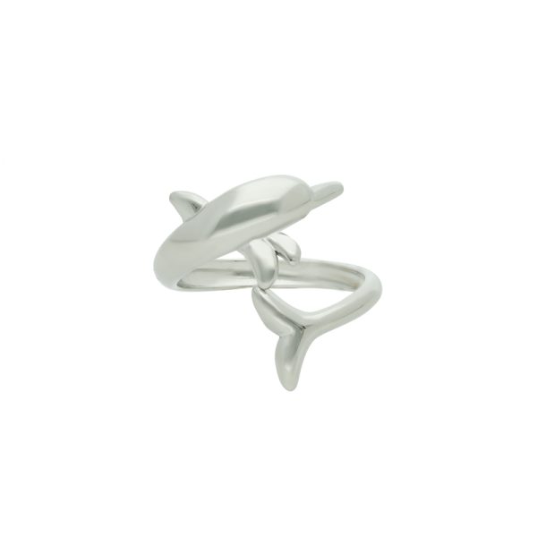 Anillo Acero Inoxidable