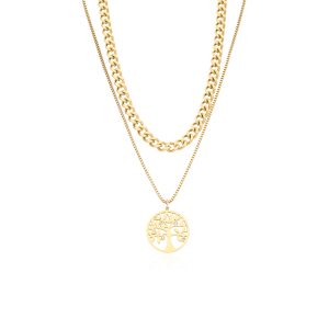 Collar Acero Inoxidable