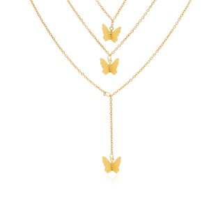 Collar Acero Inoxidable