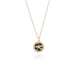 Collar Chapa de Oro y Acero