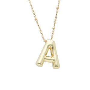 Collar Chapa de Oro y Acero