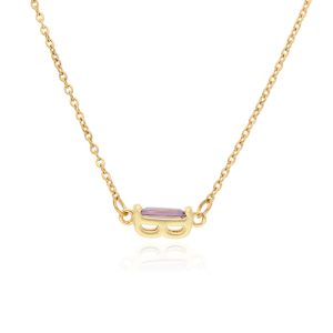 Collar Chapa de Oro y Acero