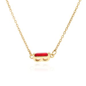Collar Chapa de Oro y Acero