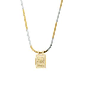 Collar Chapa de Oro y Acero