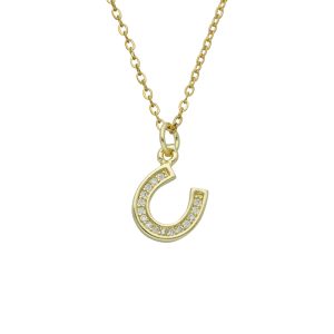 Collar Chapa de Oro y Acero