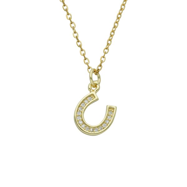 Collar Chapa de Oro y Acero