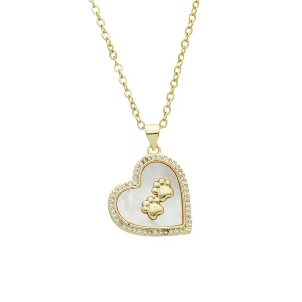Collar Chapa de Oro y Acero