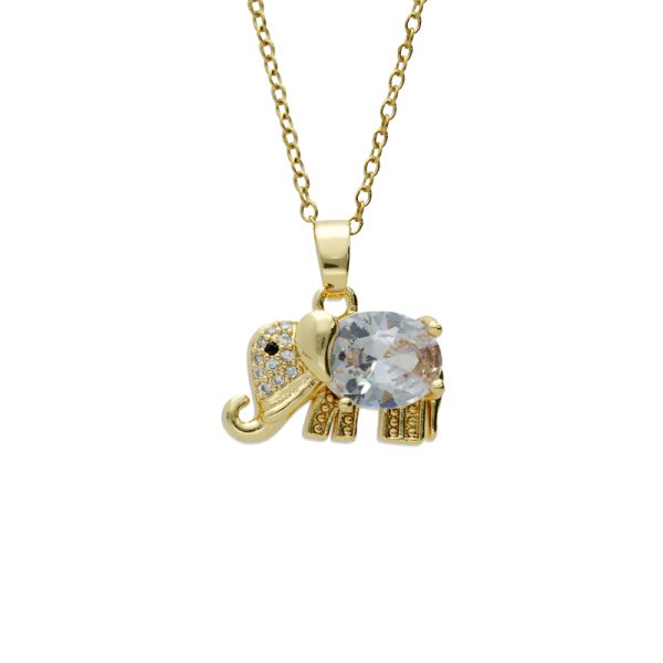 Collar Chapa de Oro y Acero