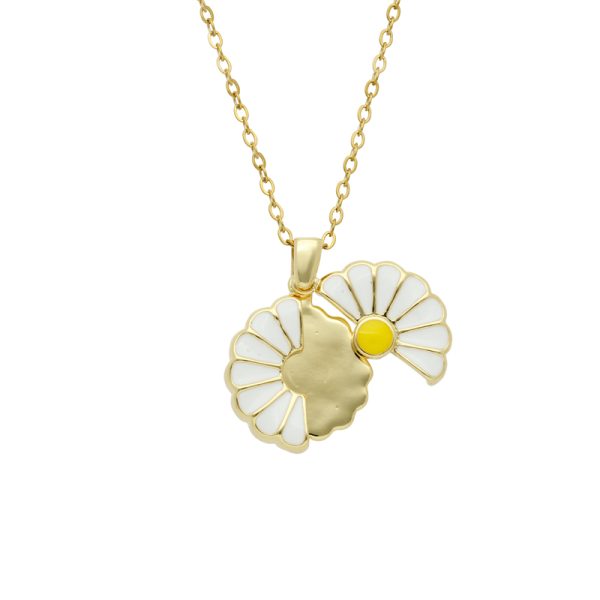 Collar Chapa de Oro y Acero