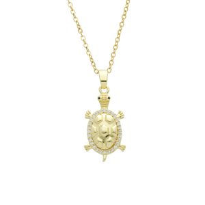 Collar Chapa de Oro y Acero