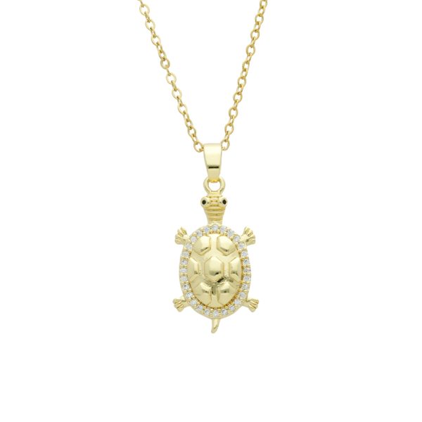 Collar Chapa de Oro y Acero