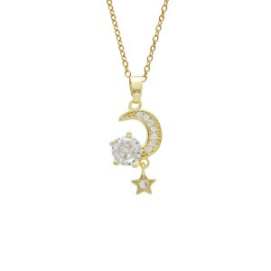 Collar Chapa de Oro y Acero
