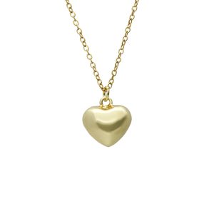 Collar Chapa de Oro y Acero
