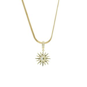 Collar Chapa de Oro y Acero