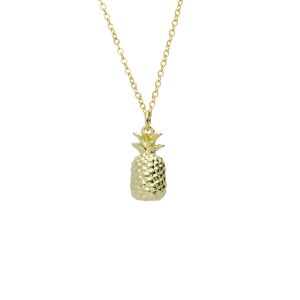 Collar Chapa de Oro y Acero