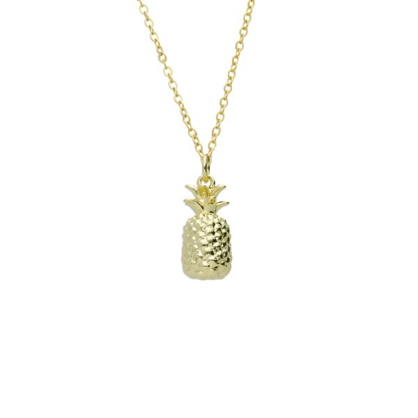 Collar Chapa de Oro y Acero