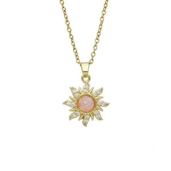 Collar Chapa de Oro y Acero