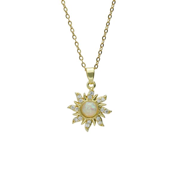 Collar Chapa de Oro y Acero