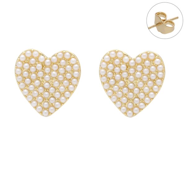 Arete Chapa de Oro