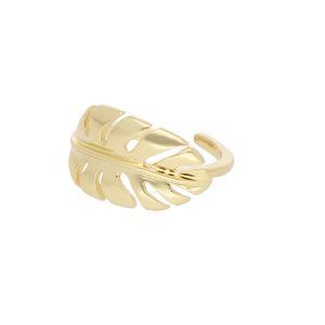 Anillo Chapa de Oro