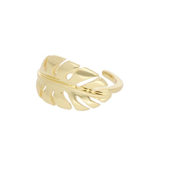 Anillo Chapa de Oro