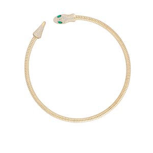 Collar Chapa de Oro