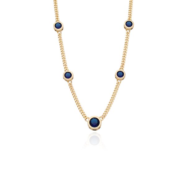 Collar Chapa de Oro
