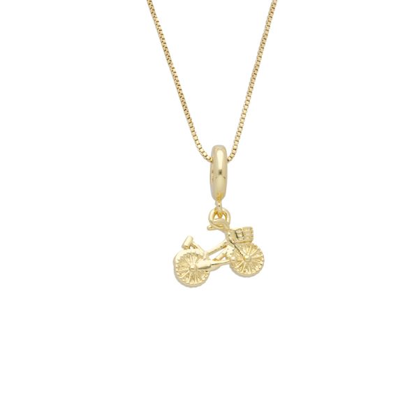 Collar Chapa de Oro