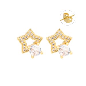 Arete Chapa de Oro