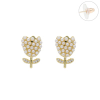 Arete Chapa de Oro
