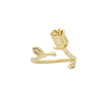 Anillo Chapa de Oro
