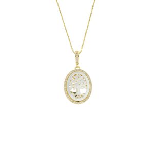 Collar Chapa de Oro
