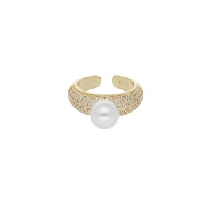 Anillo Chapa de Oro