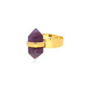 Anillo Chapa de Oro