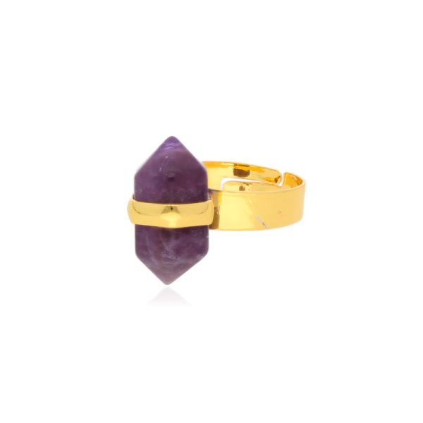 Anillo Chapa de Oro