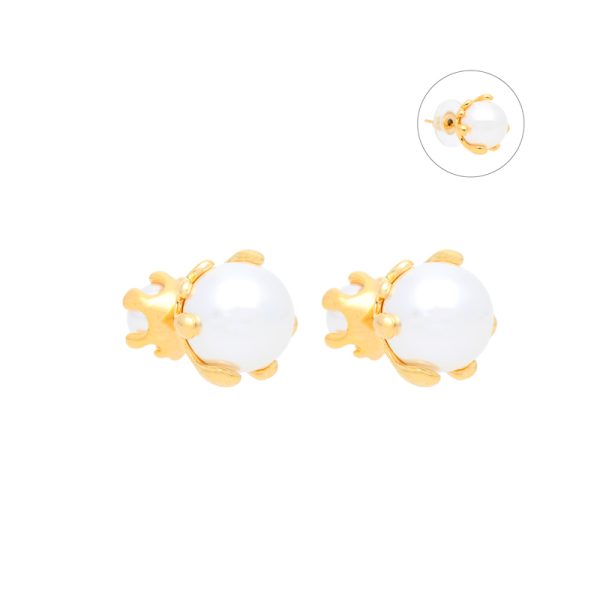 Arete Chapa de Oro