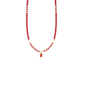 Collar Chapa de Oro