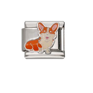 Charm de Acero Inoxidable