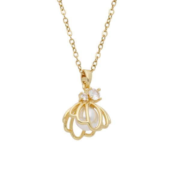 Collar Chapa de Oro y Acero