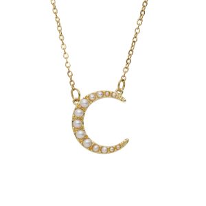 Collar Chapa de Oro y Acero
