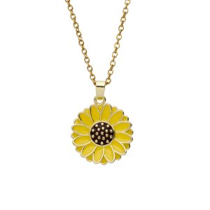 Collar Chapa de Oro y Acero