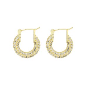 Arete Chapa de Oro