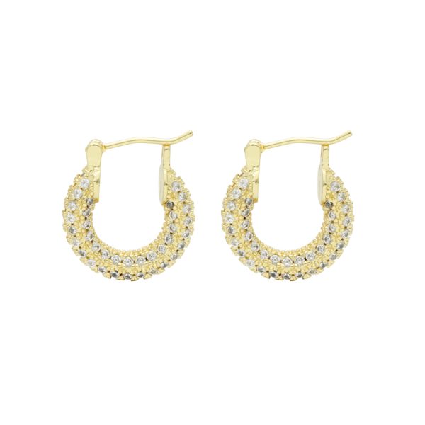 Arete Chapa de Oro