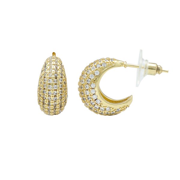 Arete Chapa de Oro